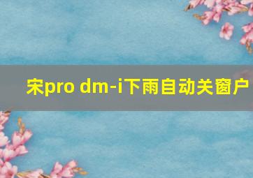 宋pro dm-i下雨自动关窗户